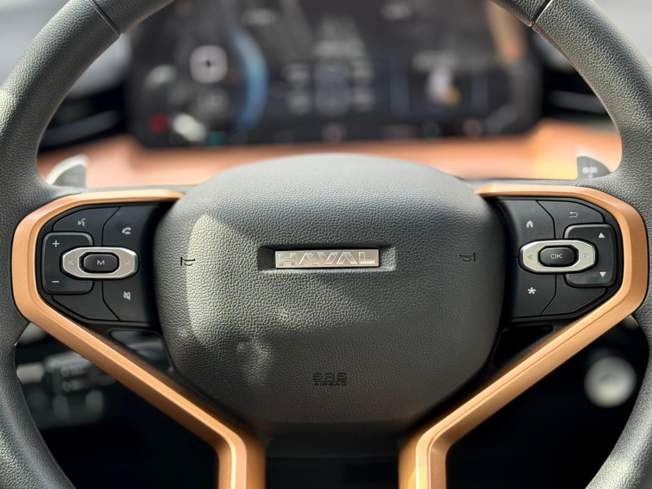 هافال H6 بيسك 2025 - صور داخلية 6